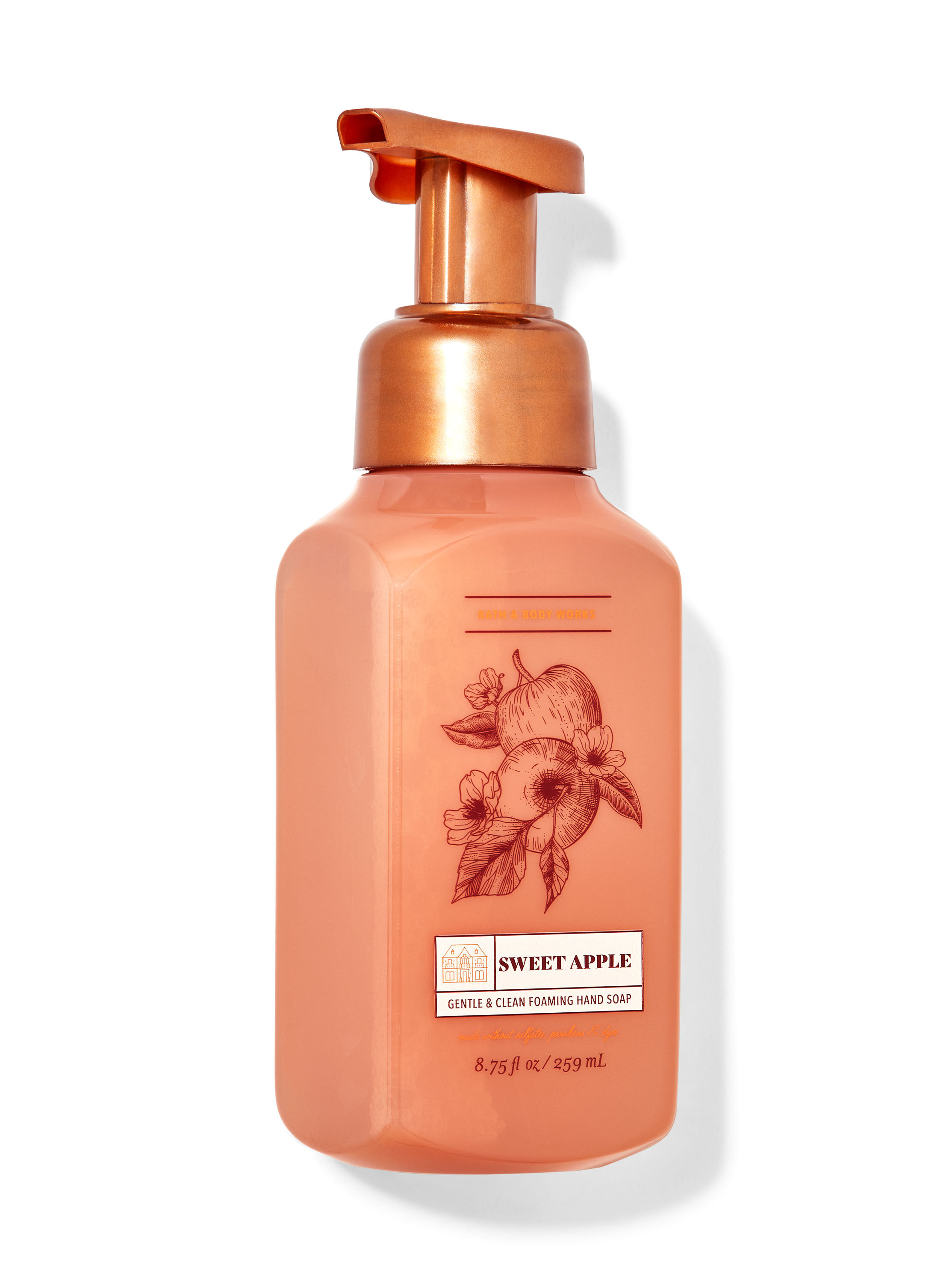 Buy Sweet Apple Gentle Clean Foaming Hand Soap Online Bath Body Works Singapore
