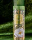 Tiana Fine Fragrance Mist image number null