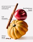 Pumpkin Apple 3-Wick Candle image number null