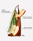 Tree Farm Single Wick Candle image number null