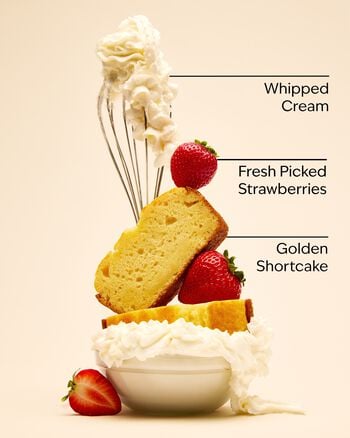 Strawberry Pound Cake Gentle & Clean Foaming Hand Soap Gentle & Clean Foaming Hand Soap