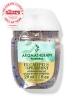 Eucalyptus + Spearmint PocketBac Hand Sanitizer image number null