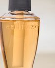 Pineapple Mango Wallflowers Fragrance Refill image number null
