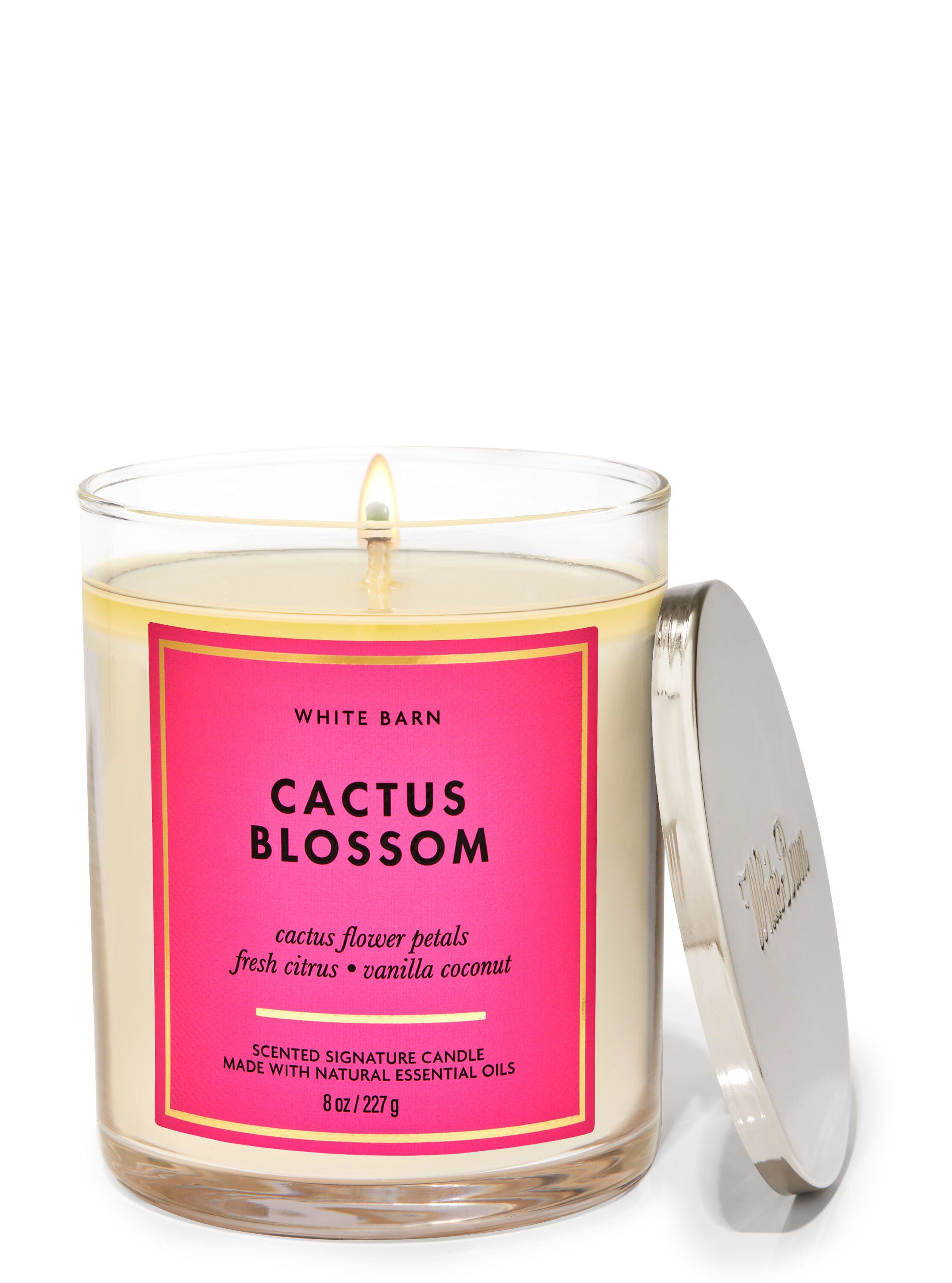 Shop Cactus Blossom Single Wick Candle | Bath & Body Works Singapore