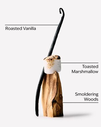 Marshmallow Fireside Wallflowers Fragrance Refill Wallflowers Fragrance Refill