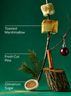 The Perfect Christmas Gentle & Clean Foaming Hand Soap image number null