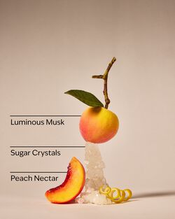Zesty Peach Travel Size Smooth & Soothe Body Cream image number null