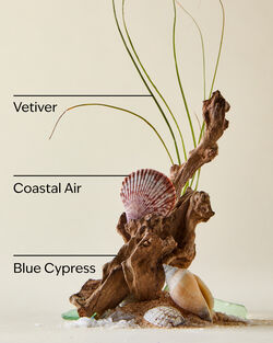 Ocean Antiperspirant Deodorant