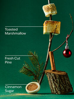 The Perfect Christmas Gentle & Clean Foaming Hand Soap image number null