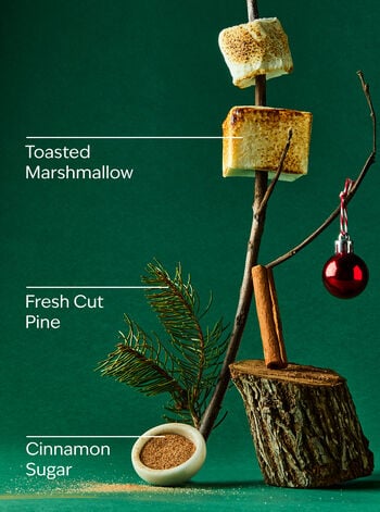 The Perfect Christmas Gentle & Clean Foaming Hand Soap Gentle & Clean Foaming Hand Soap