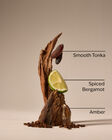 After Dark Body Wash image number null