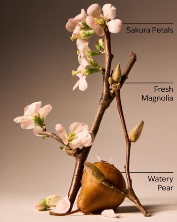 Forever Cherry Blossom Body Lotion Body Lotion