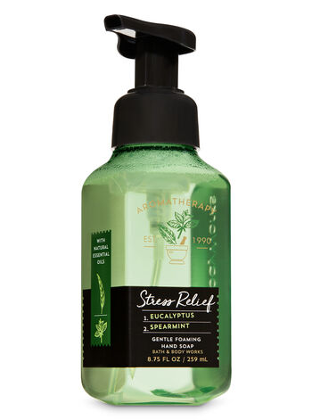 Eucalyptus Spearmint Foaming Hand Soap Gentle Foaming Hand Soap