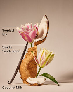 Eau De Coconut Fine Fragrance Mist image number null