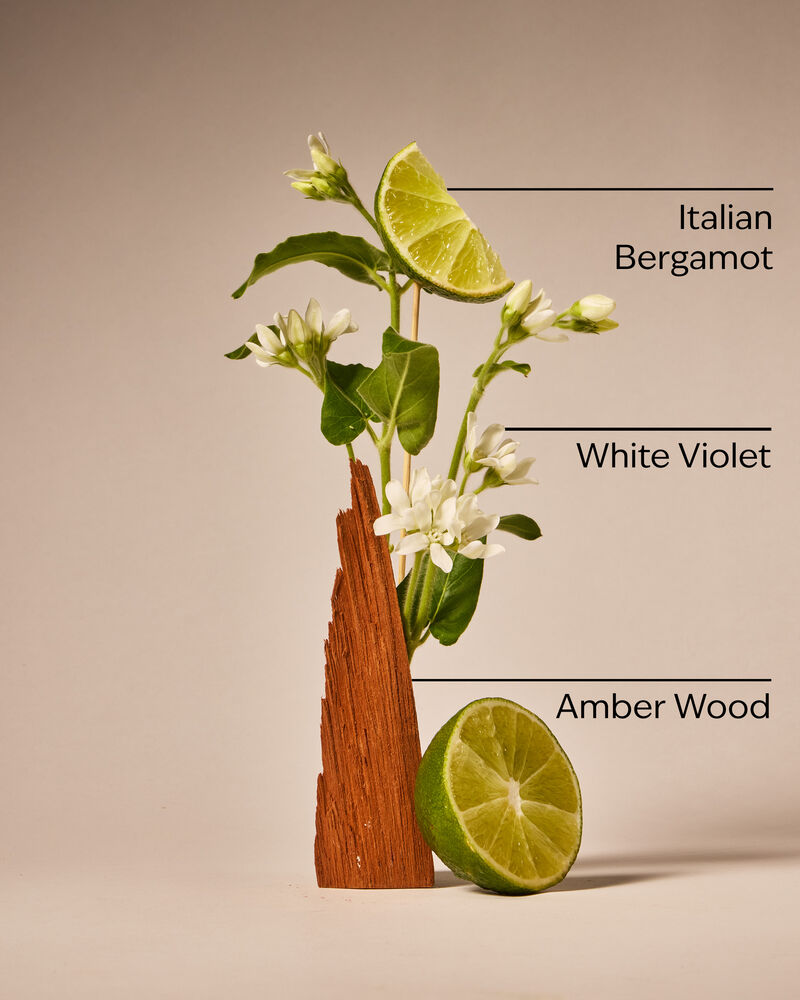 Sunwashed Santal PocketBac Hand Sanitizer PocketBac Hand Sanitizer