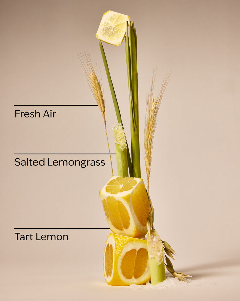 Laundry Room Lemon Wallflowers Fragrance Refill Wallflowers Fragrance Refill
