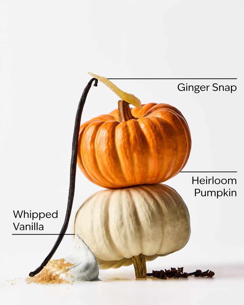 Sweet Cinnamon Pumpkin Gentle & Clean Foaming Hand Soap Gentle & Clean Foaming Hand Soap