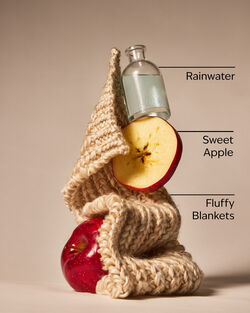 Lullaby Linen Wallflowers Fragrance Refill image number null