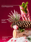 Twisted Peppermint Body Wash & Shower Gel image number null
