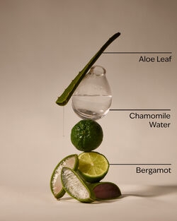 Fresh Rainfall Hand Sanitizer Spray image number null