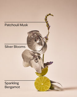 Platinum Diamond Shimmer Mist image number null