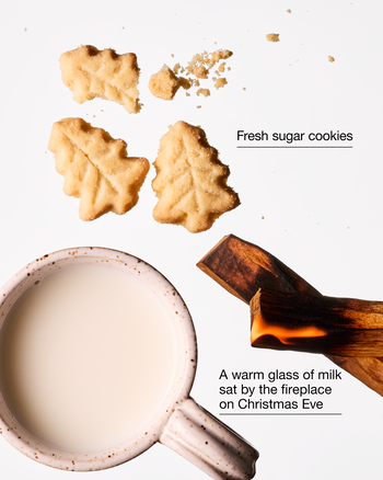 Santa's Milk & Cookies Gentle & Clean Foaming Hand Soap Gentle & Clean Foaming Hand Soap