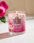 Aurora Single Wick Candle image number null