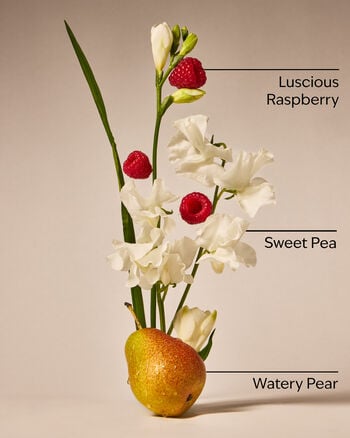 Sweet Pea Daily Nourishing Body Lotion Daily Nourishing Body Lotion