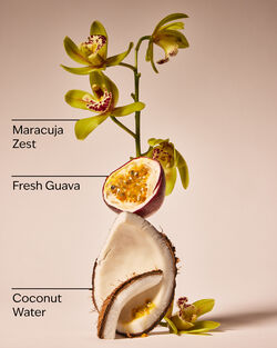 Viva Brazil Body Butter image number null