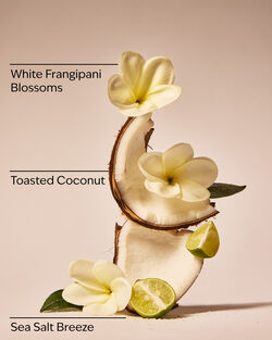 At The Beach Moisturizing Conditioner image number null