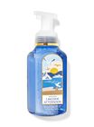 Lakeside Afternoon Gentle Foaming Hand Soap image number null