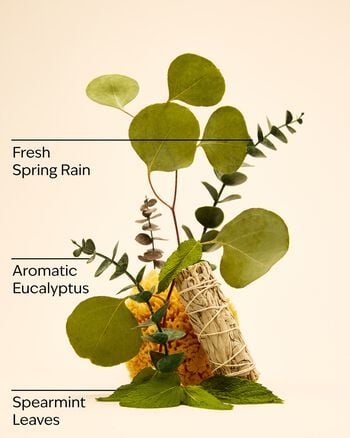 Eucalyptus Spearmint Gift Set Gift Set