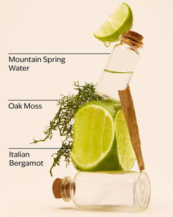 Freshwater Body Spray image number null