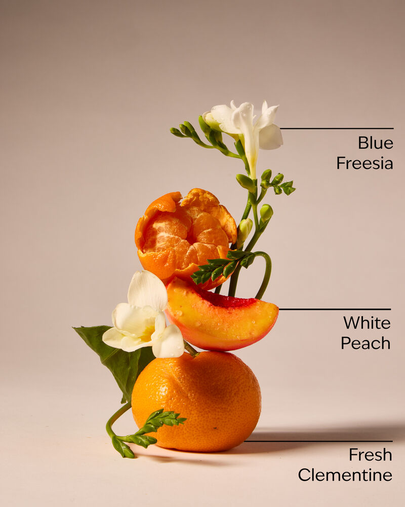 Gingham PocketBac Hand Sanitizer PocketBac Hand Sanitizer