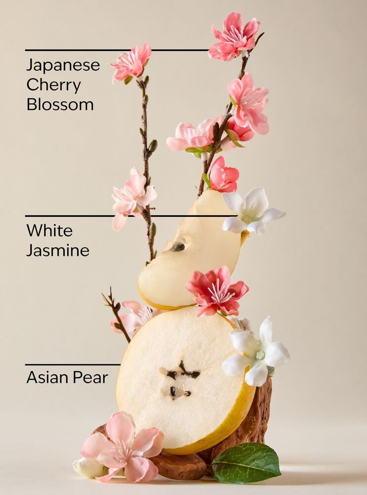 Japanese Cherry Blossom Single Wick Candle Single Wick Candle