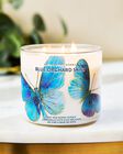 Blue Orchard Skies 3-Wick Candle image number null