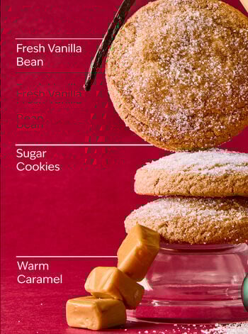 Vanilla Bean Noel Fine Fragrance Mist Fine Fragrance Mist