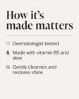 Champagne Toast Shampoo image number null