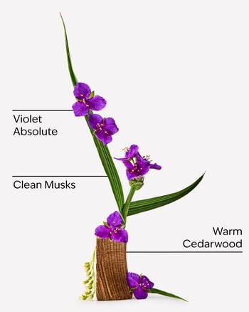 Very Violet 3-Wick Candle 3-Wick Candle