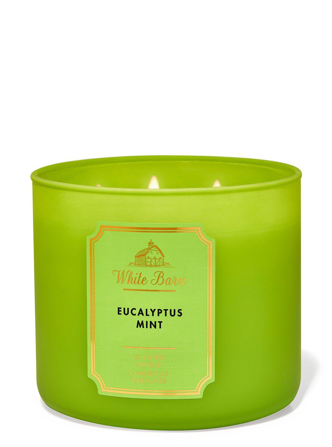 Shop Eucalyptus Mint 3-Wick Candle | SG Bath & Body Works