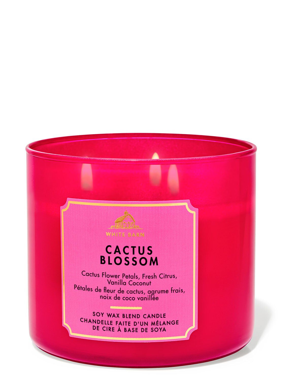 Shop Cactus Blossom 3-Wick Candle | Bath & Body Works Singapore