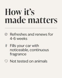 Champagne Toast Car Fragrance Refill image number null