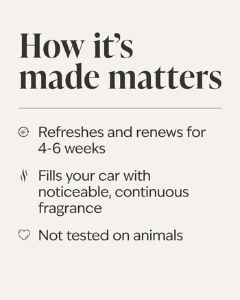 Champagne Toast Car Fragrance Refill Car Fragrance Refill