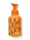 Golden Berry Mistletoe Gentle & Clean Foaming Hand Soap image number null