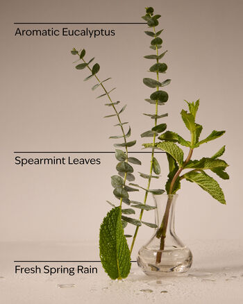 Eucalyptus Rain Concentrated Room Spray Concentrated Room Spray