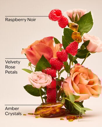 Into The Night Daily Nourishing Body Lotion Daily Nourishing Body Lotion