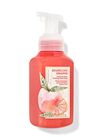 Sparkling Orange Gentle & Clean Foaming Hand Soap image number null