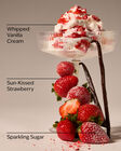 Strawberry Lover Wallflowers Fragrance Refill image number null