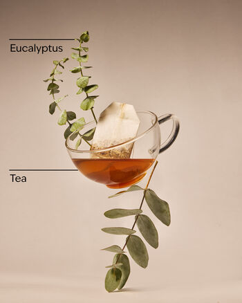 Eucalyptus Tea Body Lotion Body Lotion