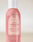 Apple Cinnamon Spice Concentrated Room Spray image number null
